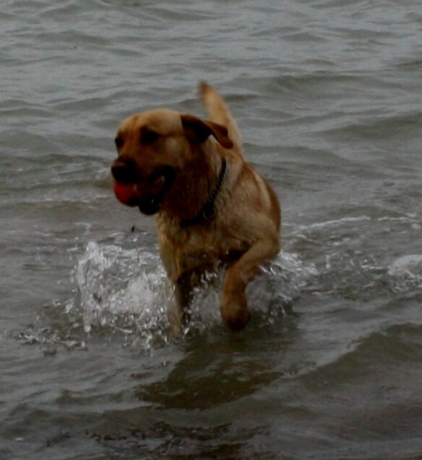 En la playa